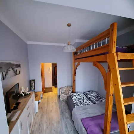 Niezalezny Przy Parku Zdrojowym 667-666-609 Apartamento