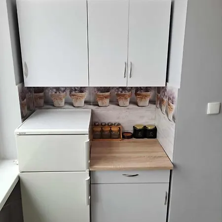 Apartment Niezalezny Przy Parku Zdrojowym 667-666-609 *
