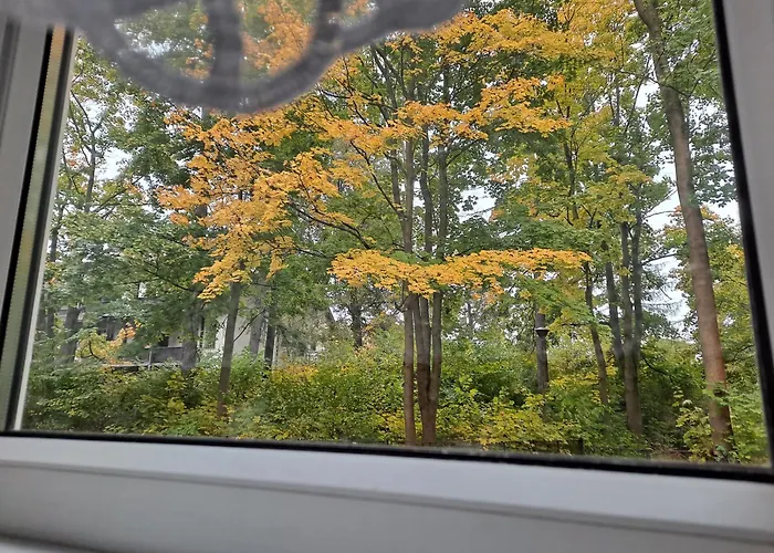 Niezalezny Przy Parku Zdrojowym 667-666-609 Kudowa-Zdrój